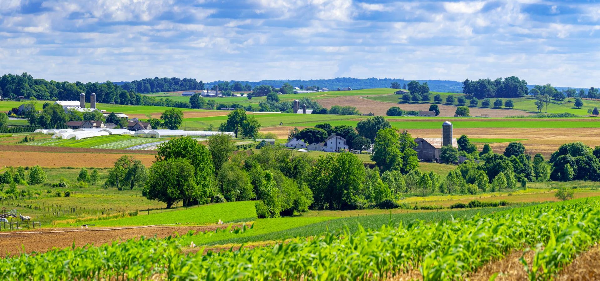 farmland
