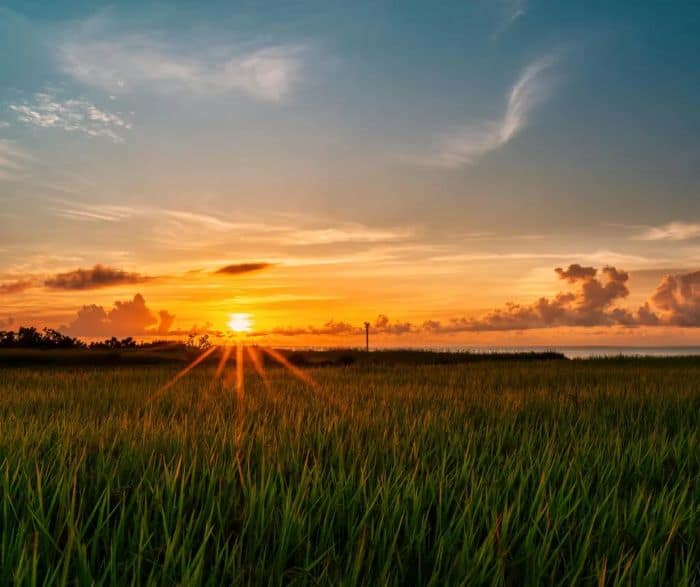 Sunset over lush green fields.