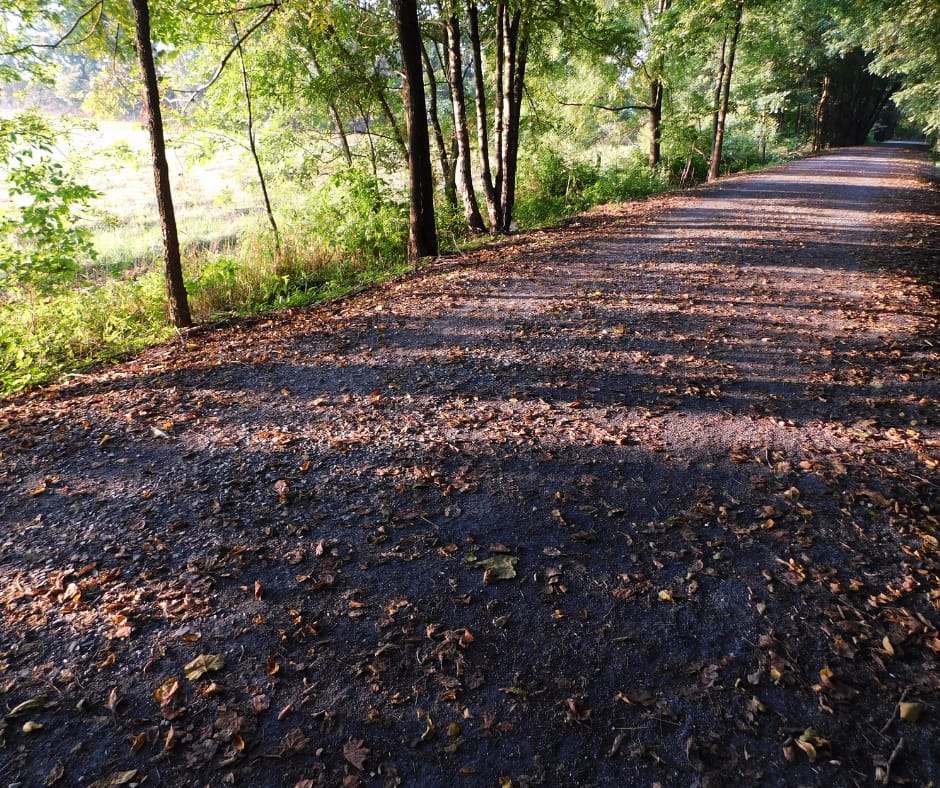 Trail